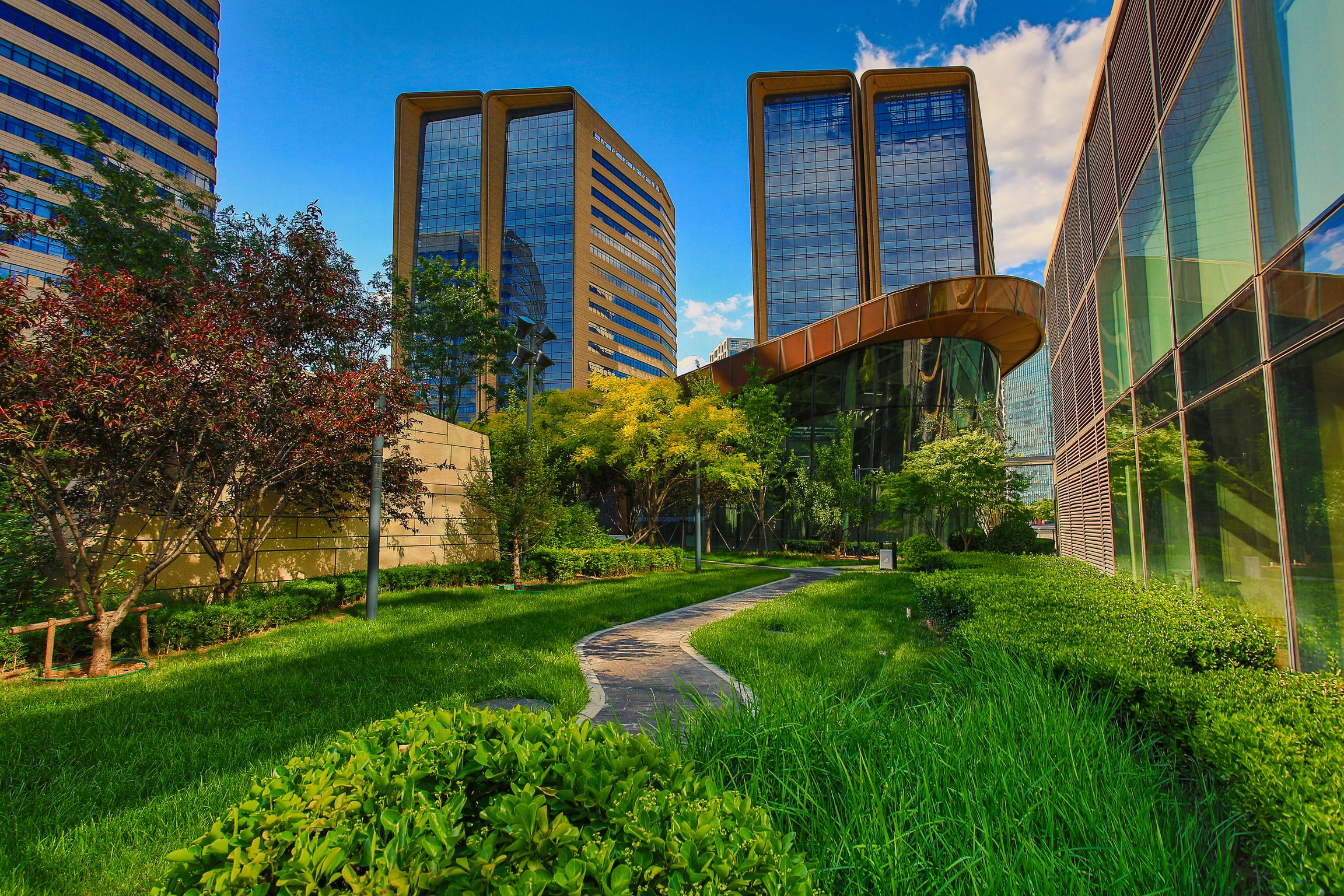 Fresh green space in the city